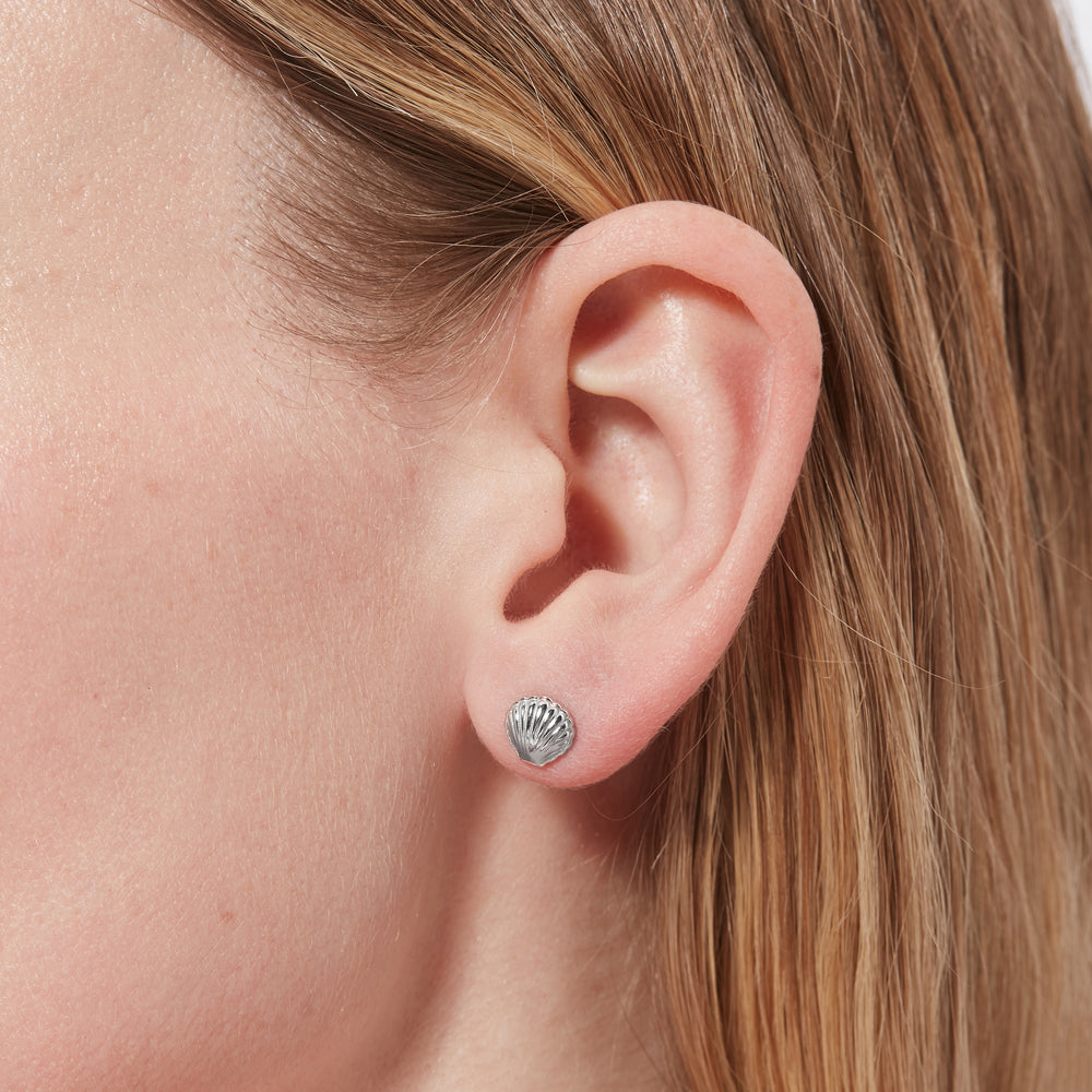 Sterling silver shell shaped stud earrings being worn.