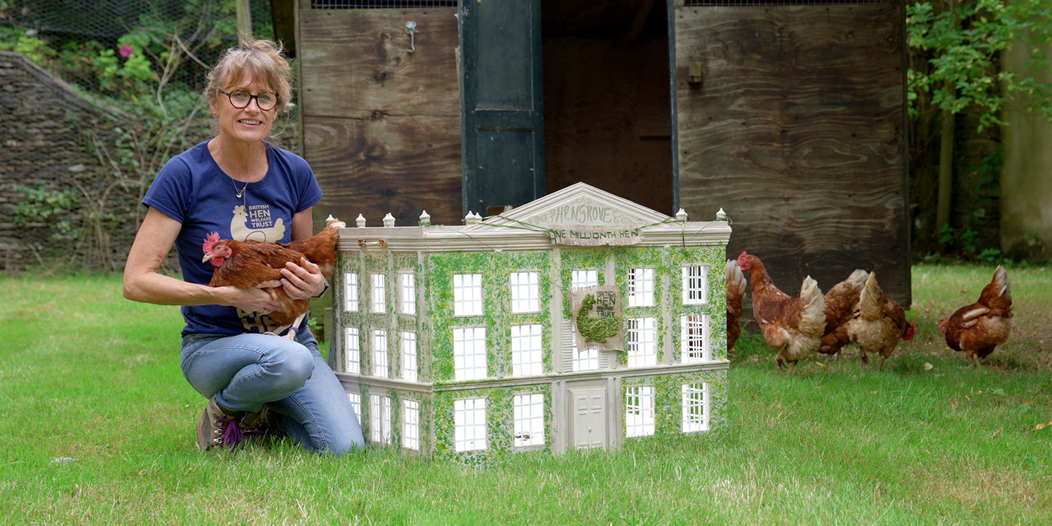 British Hen Welfare Trust