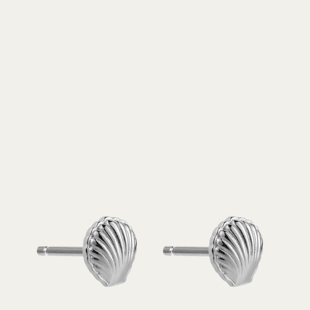 Silver shell-shaped earrings on a light gray background